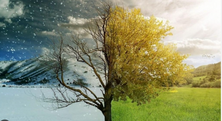 How Do Heat Pumps Work?